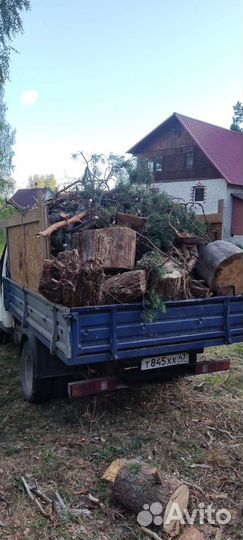 Спил деревьев частями