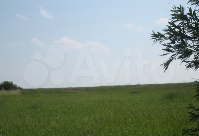 Участок 3,6 га (СНТ, ДНП)