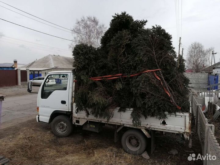 Вывоз мусора