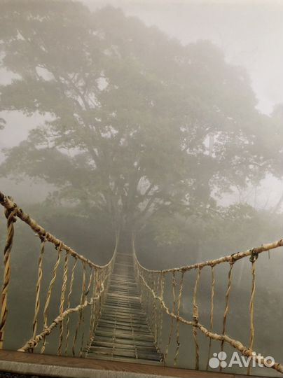 Фотокартина Икея,Мост’’ 202 на 140