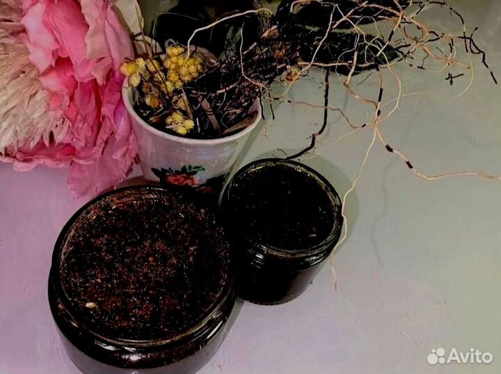 Мед для наслаждений по ночам