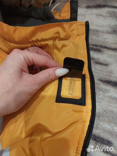 Зима-осень попона для собак