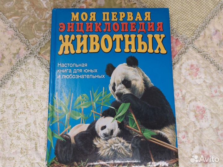 Стив Паркер 