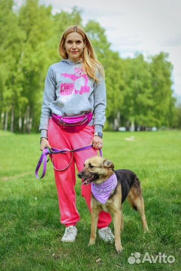 Собаку предали и вернули в приют как ненужную вещь