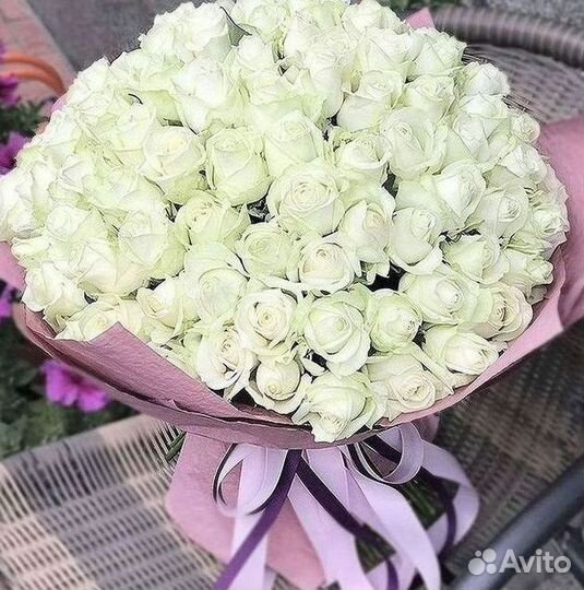 Высокие розы Гигантские Розы 150 160 170 180 190см