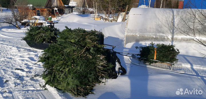 Пихтовое масло эфирное натуральное