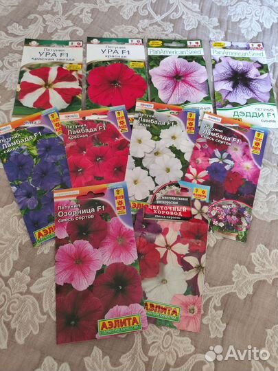 Рассада цветов