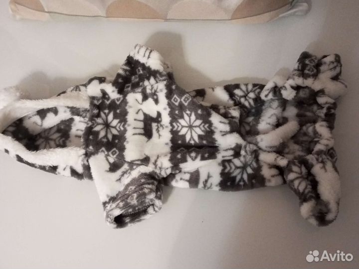 Костюм для собаки