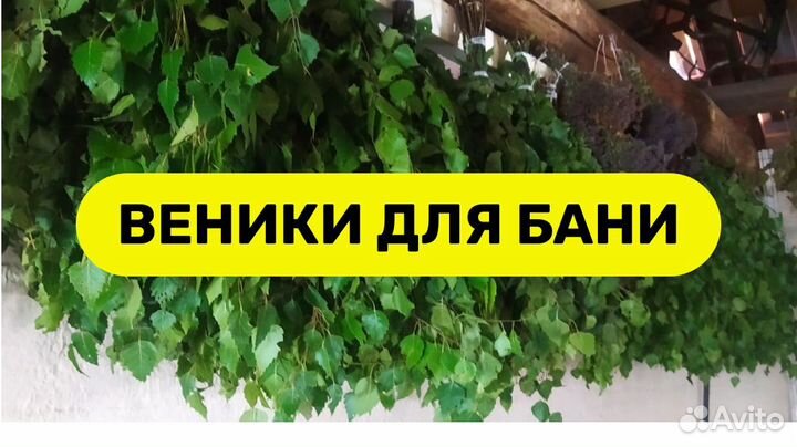 Веники для бани берёзовые. Душица. Матрешка