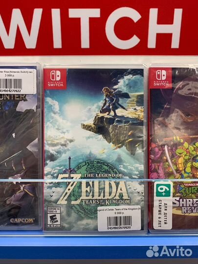 The Legend of Zelda Tears of the Kingdom