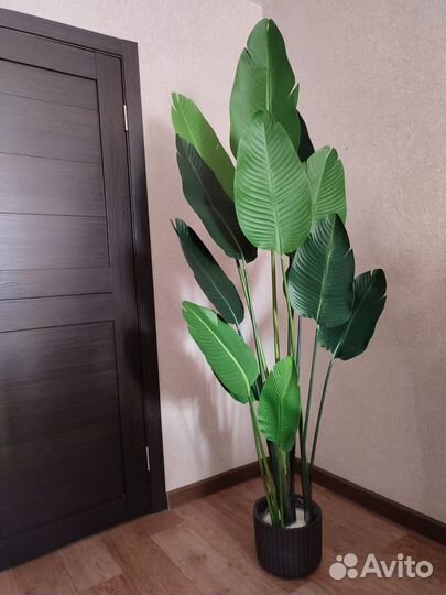 Искусственные растения в ассортименте