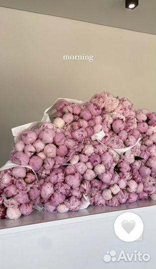 Букеты Пионов Цветы с Доставкой