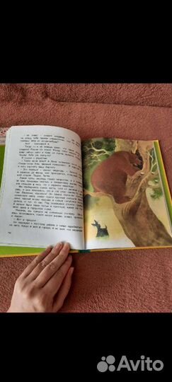 Детские книги А4 храбрый Тилли