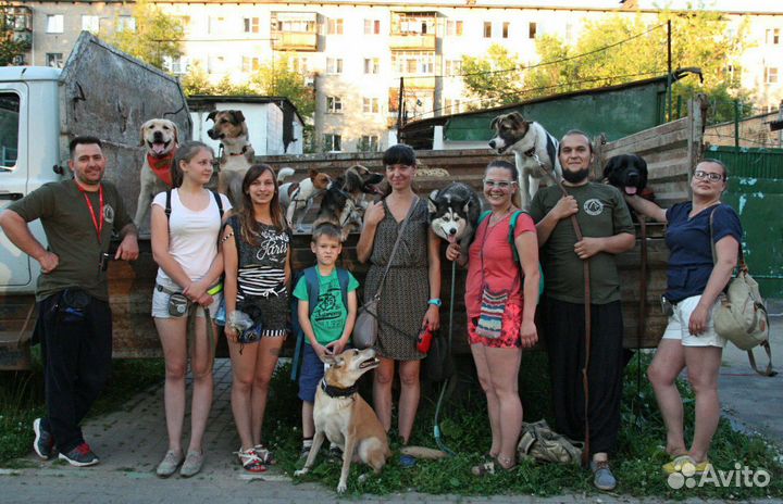 Кинолог и специалист по поведению собак