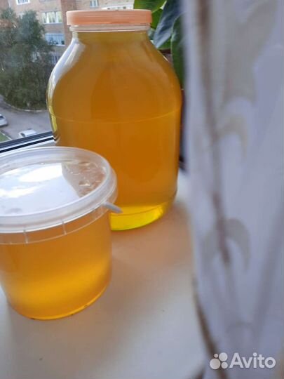 Мед разнотравье 2023г, север области