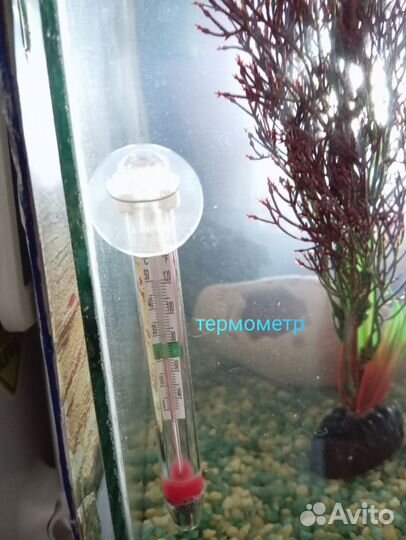 Аквариумные принадлежности