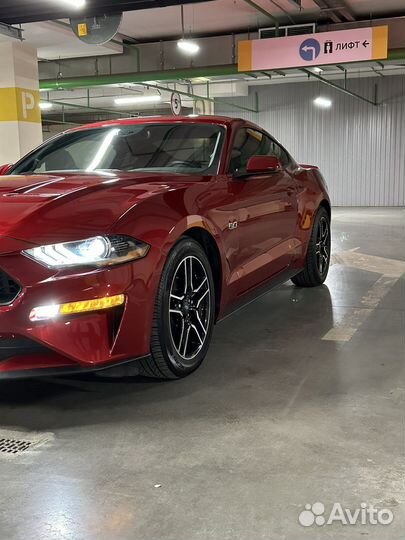 Ford Mustang 5.0 AT, 2021, 12 000 км