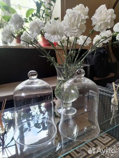 Стеклянные колбы