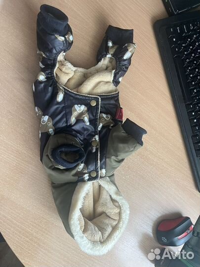 Одежда для маленьких собак