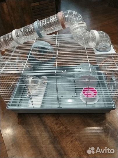 Клетка для джунгарского хомяка