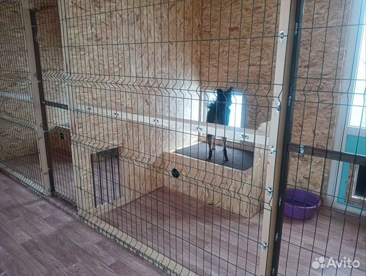 Зоогостиница в Булгаково Shepherd, груминг