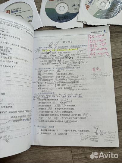 Developing Chinese Intermediate 1st