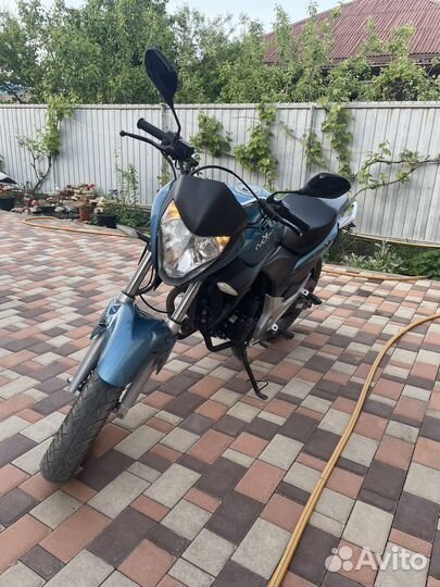 Stels Flex 250