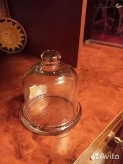 Масленка или лимонница