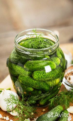 Семена Огурец Разносолы смесь