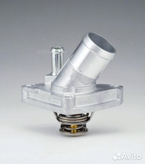 Tama WH31U-82TBB Термостат