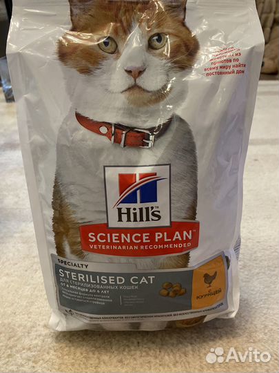 Корм хилс для кошек
