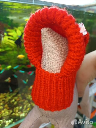 Шапки, снуды, кепки для собак и кошек