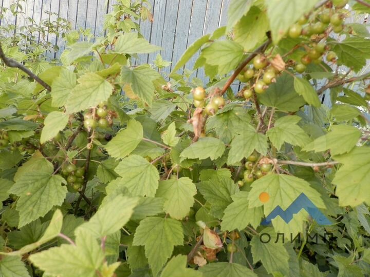 Дом 27,3 м² на участке 22 сот.