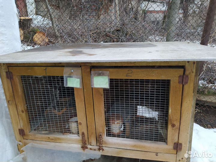 Клетки для кроликов и кур