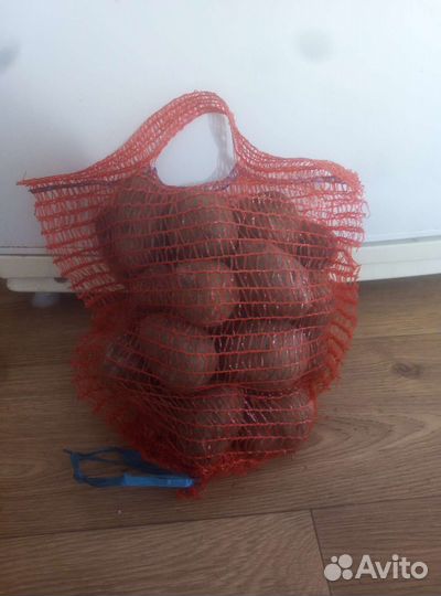 Картофель фиолетовый семенной Гурман