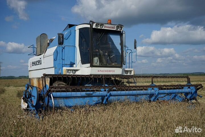 Зерно: овёс, ячмень