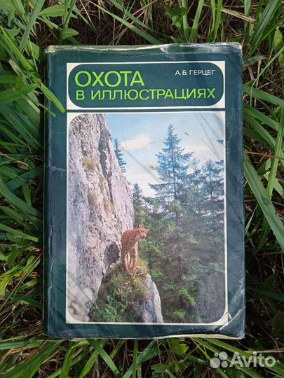 А. Б. Герцен 