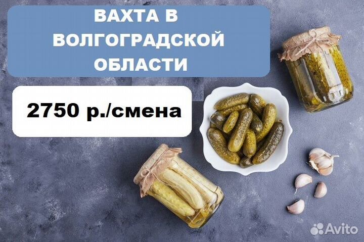 Разнорабочие на консервный завод.Волгоградская обл