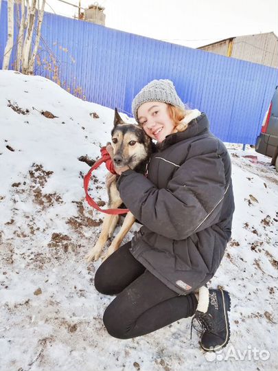 Уход за животными