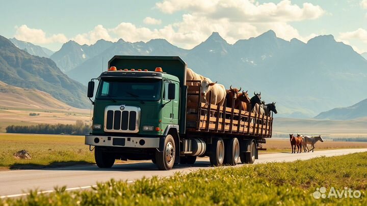 Перевозки скота с ферм