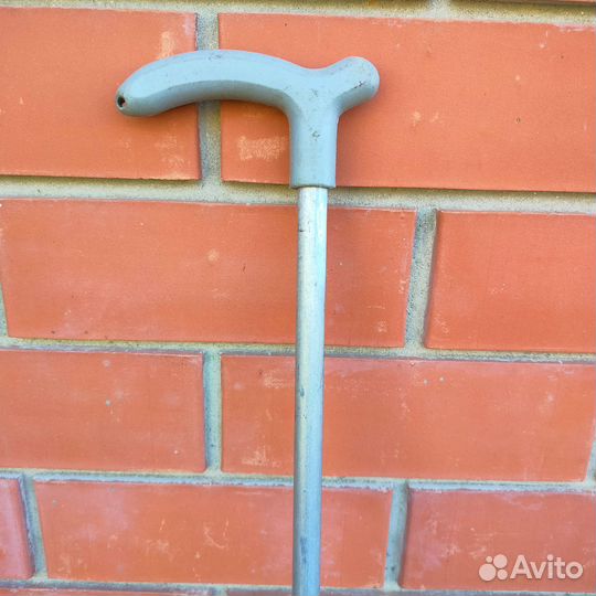 Трость новая