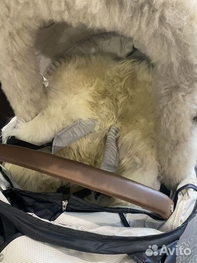 Коляска Stokke xplory V6