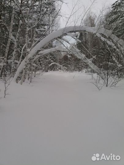 Рамщик на пилораму с проживанием