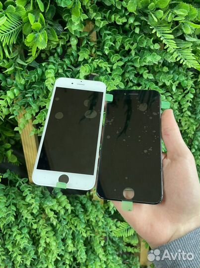 Дисплей iPhone 5-5s,6-6s,7-7plus,8-8-plus,Х,11,XR