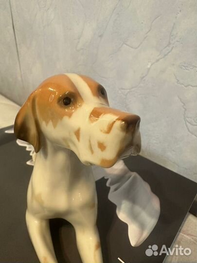 Пойнтер лфз