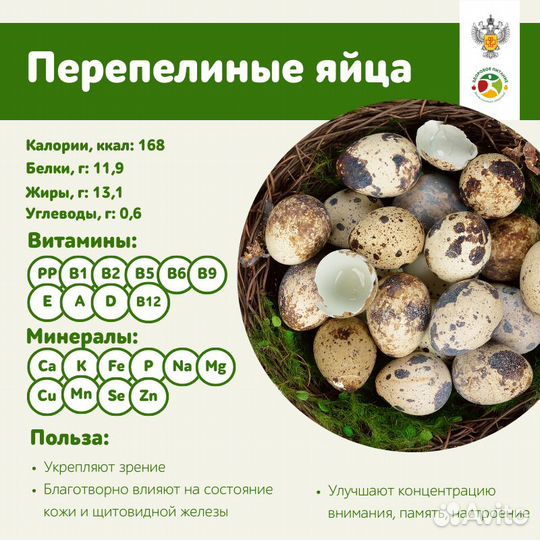 Яйца перепелиные и перепела