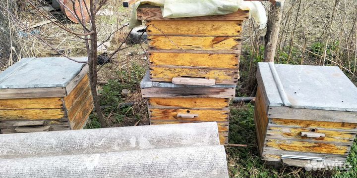 Ящики для пчел