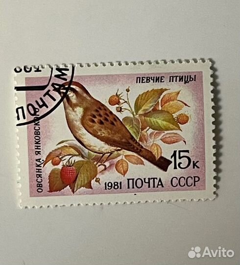 Почтовые марки СССР и России