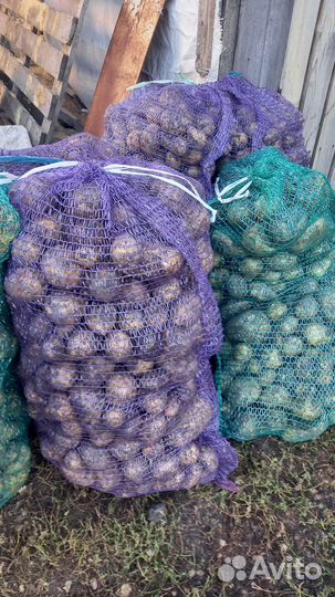 Мелкая картошка