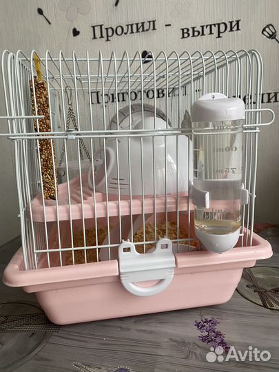 Хомяк с клеткой